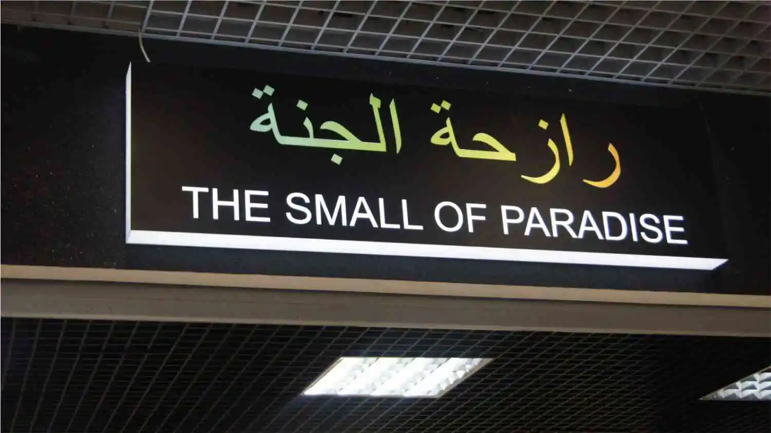 Лайтбокс в для магазина парфюмерии "the small of paraadise"